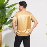 Pure Silk T-Shirts For Men Luxury V - Neck Silk Top Tee
