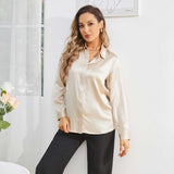 Women's Work Silk Shirts Hidden Placket Silk Blouse