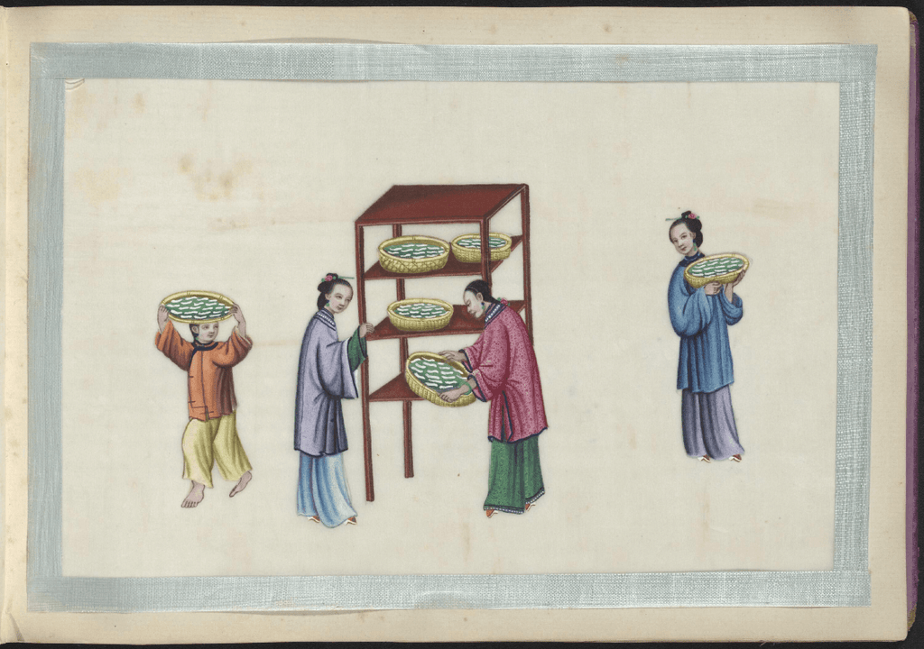 Introduction Of Silk