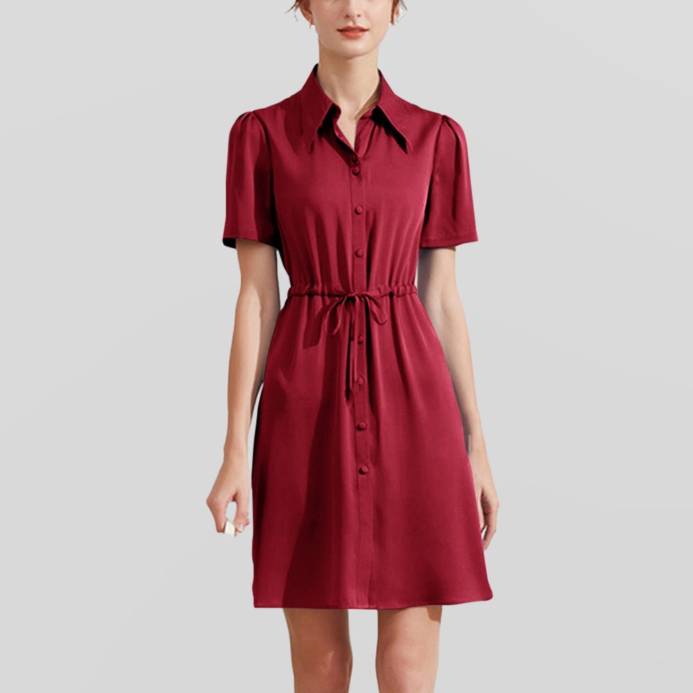 Summer Short Sleeves Silk Dresses 100% Pure Mulberry Silk Shirt Dress Ladies Button Dress - slipintosoft